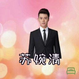 苏婉清
